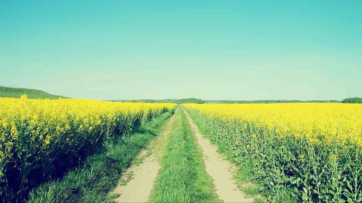 20190531142650492581.image