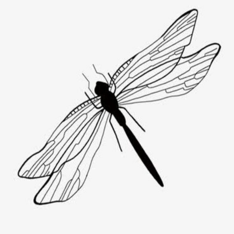 绝密档案 《龙猫》中隐喻的案件-狭山事件 上-绝密档案-蜻蜓fm听历史