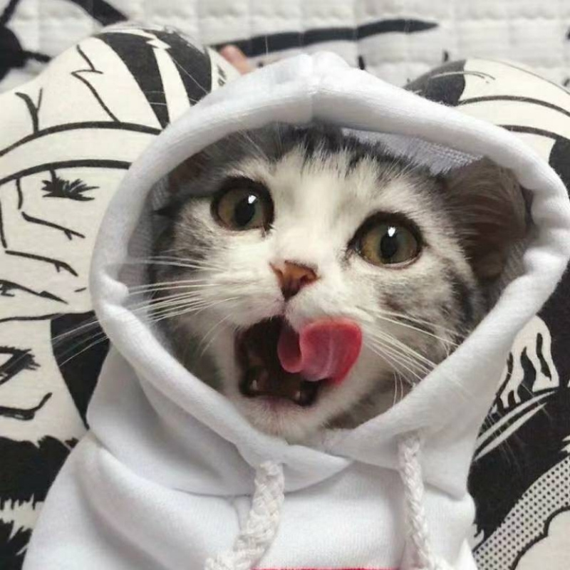 刘小光(赵四) 网络春晚 逗笑全场-刘小光小品-蜻蜓fm听相声小品