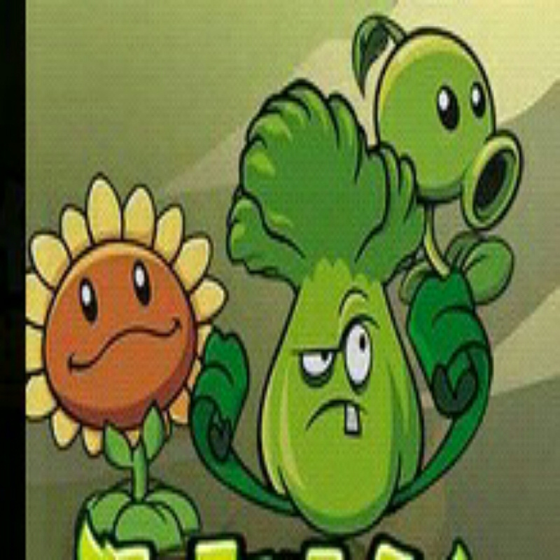 机枪射手.胡萝卜导弹车.我们都是植物呀!