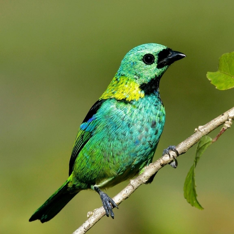 是我的手机没接收到,还是花哥还没更新啊?