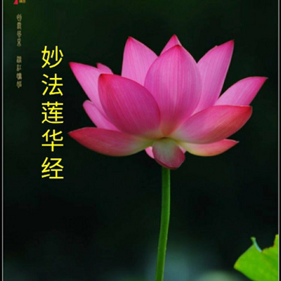 《妙法莲华经》讲记