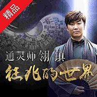 通灵师翎镇:征兆的世界