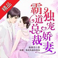 霸道总裁的独宠娇妻