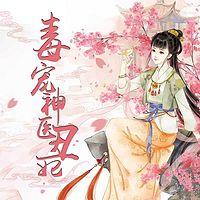 毒宠神医丑妃