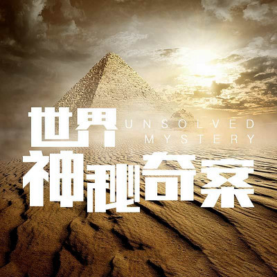 世界神秘奇案 世界神秘奇案