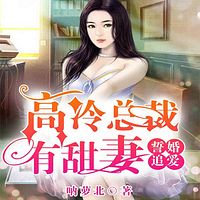 誓婚追爱:高冷总裁有甜妻