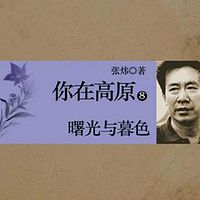 你在高原(第八部):曙光与暮色