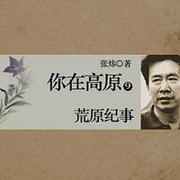 你在高原(第九部):荒原纪事