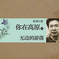 你在高原(第十部):无边的游荡