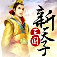 三国新天子