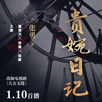贵婉日记(电视剧《天衣无缝》原著)