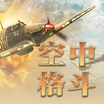 空中格斗【全集】 空中格斗【全集】