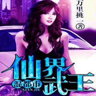 仙界武王混都市