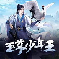 至尊少年王