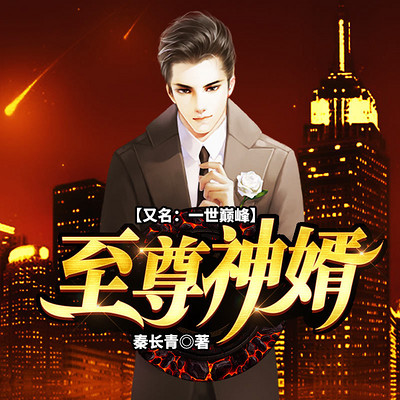 至尊神婿（又名：一世巅峰）