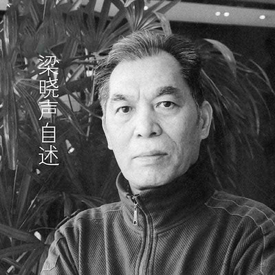 梁晓声自述 梁晓声自述