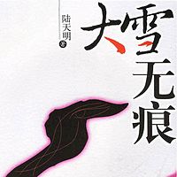 大雪无痕--陆天明反腐力作!