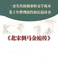 徐德亮播讲金枪传(七郎八虎闯幽州)