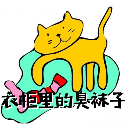 衣柜里的臭袜子