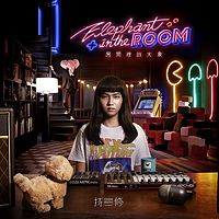 持修:房间里的大象