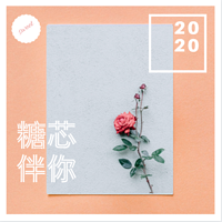 糖芯伴你
