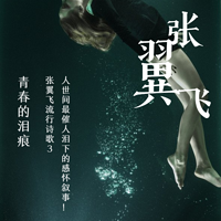 张翼飞流行诗歌3—青春的泪痕(感怀篇)