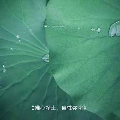 唯心净土,自性弥陀