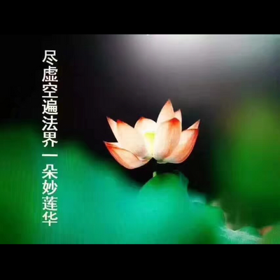 成佛的法华,大乘妙法莲华经