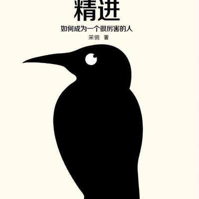 精进:如何成为一个很厉害的人 精进:如何成为一个很厉害的人