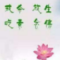 吃素放生专辑