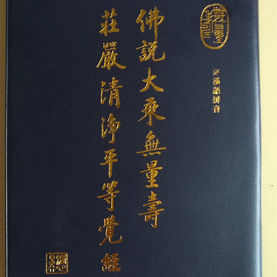 w028无量寿经-第28集-《佛说大乘无量寿经》刘素云老师讲解-蜻蜓fm听