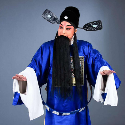 豫剧《杨八姐游春》选段-惠风和畅精神爽-任四亮