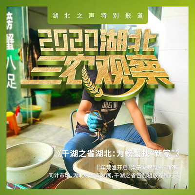 2020湖北三农观察第二篇 2020湖北三农观察第二篇