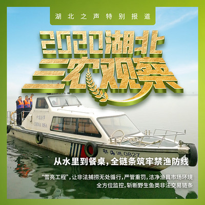 2020湖北三农观察第七篇 2020湖北三农观察第七篇