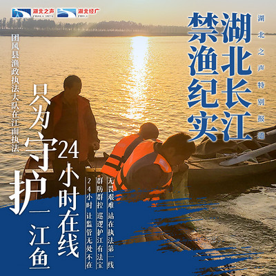 湖北长江禁渔纪实第三篇 湖北长江禁渔纪实第三篇