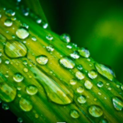 https://pic.qingting.fm/device/4ab51b1a0fb549c68f1aa28c3c8cd10c/1618891936239_QCsR7B-vD.png!400