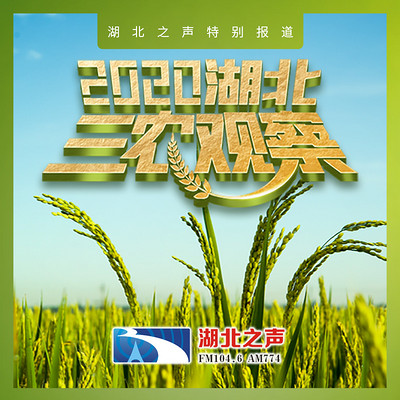 2020湖北三农观察第一篇 2020湖北三农观察第一篇