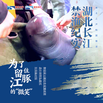 湖北长江禁渔纪实第二篇 湖北长江禁渔纪实第二篇