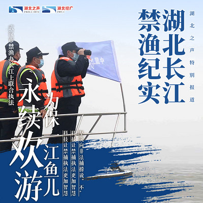 2020湖北三农观察第九篇 2020湖北三农观察第九篇