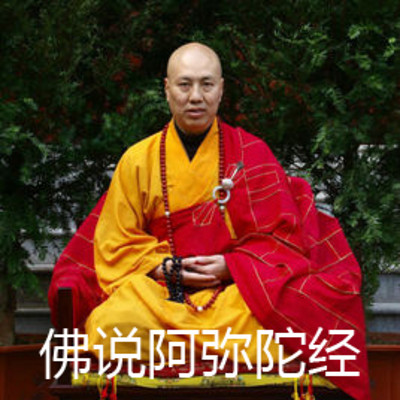 《佛说阿弥陀经》大安法师讲解 《佛说阿弥陀经》大安法师讲解