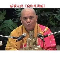 《金刚经》成观法师讲解