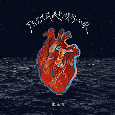 卢苑呈:可不可以流浪到我的心脏 卢苑呈:可不可以流浪到我的心脏
