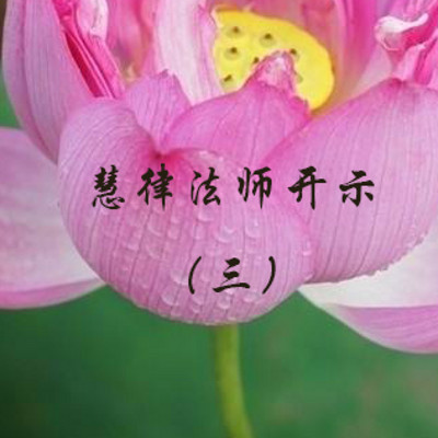 慧律法师开示(三)