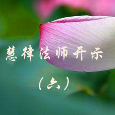 慧律法师开示(六)