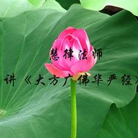 慧律法师讲《大方广佛华严经》