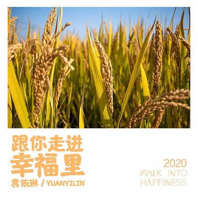 袁依琳:跟你走进幸福里 袁依琳:跟你走进幸福里