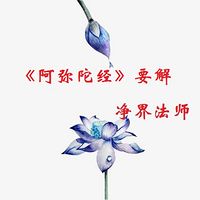 《阿弥陀经》要解—净界法师