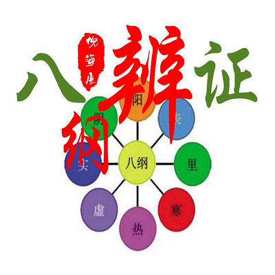 八纲辨证(倪海厦特别精讲版) 八纲辨证(倪海厦特别精讲版)