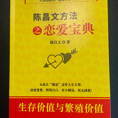 陈昌文之恋爱宝典 下